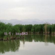 С·
